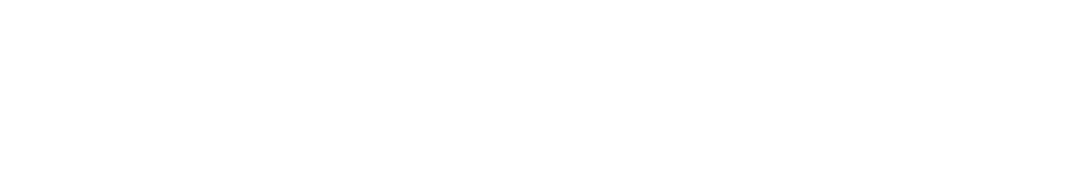logo.portosegurowhite.webp